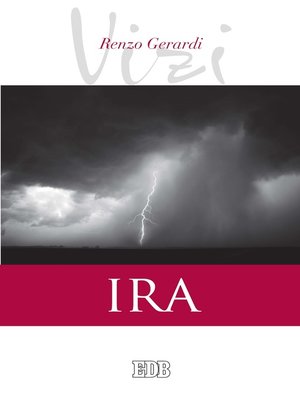 cover image of I vizi. Ira